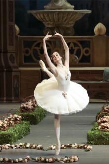 Ballet Live 2017: Le Corsaire Filmposter van Ballet Live 2017: Le Corsaire